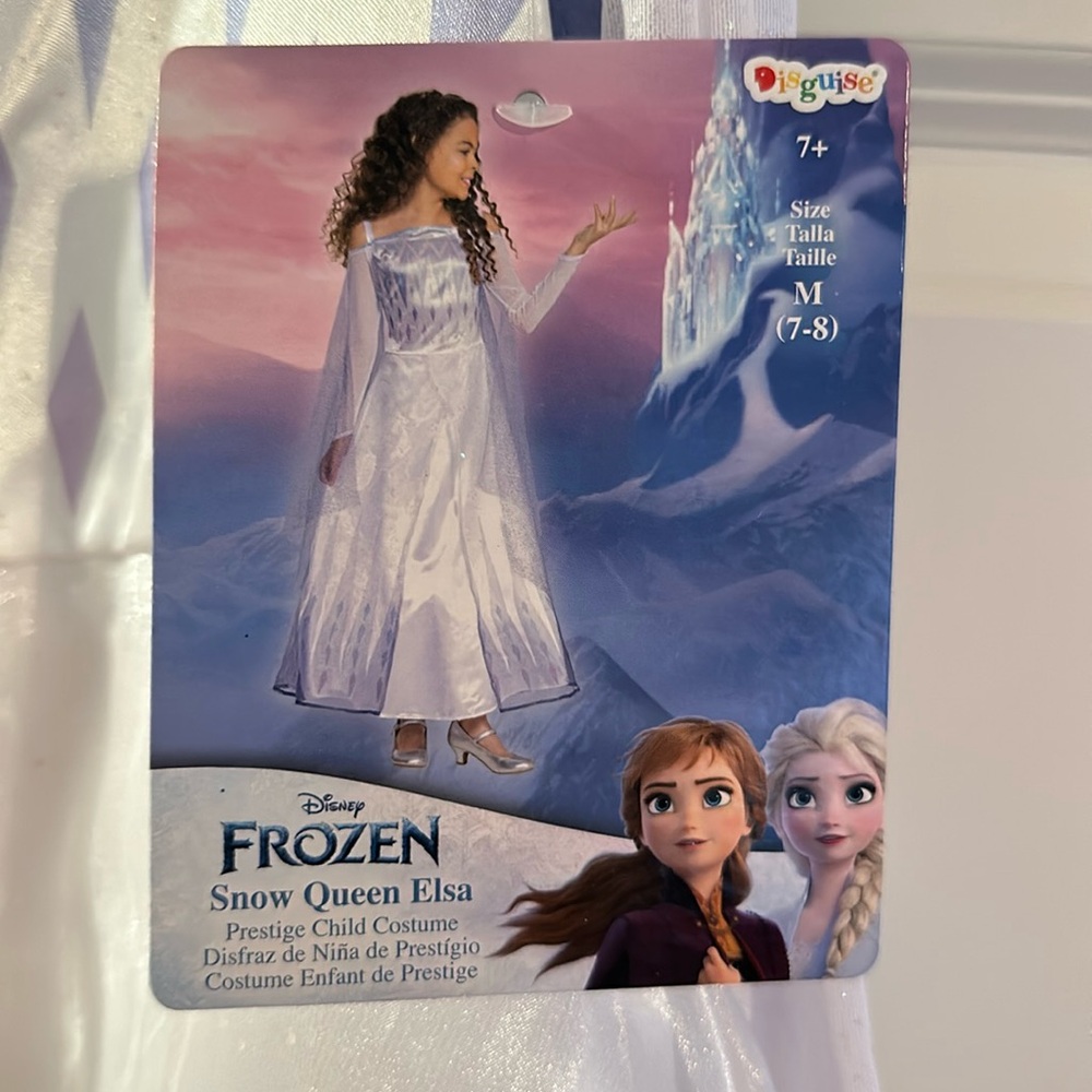 Disney Elsa dress up or costume